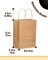 100-Packs Brown Paper Gift Bags with Handles Bulk 8.26"×6"×3.15" Small Size Gift Bags Multiple Uses